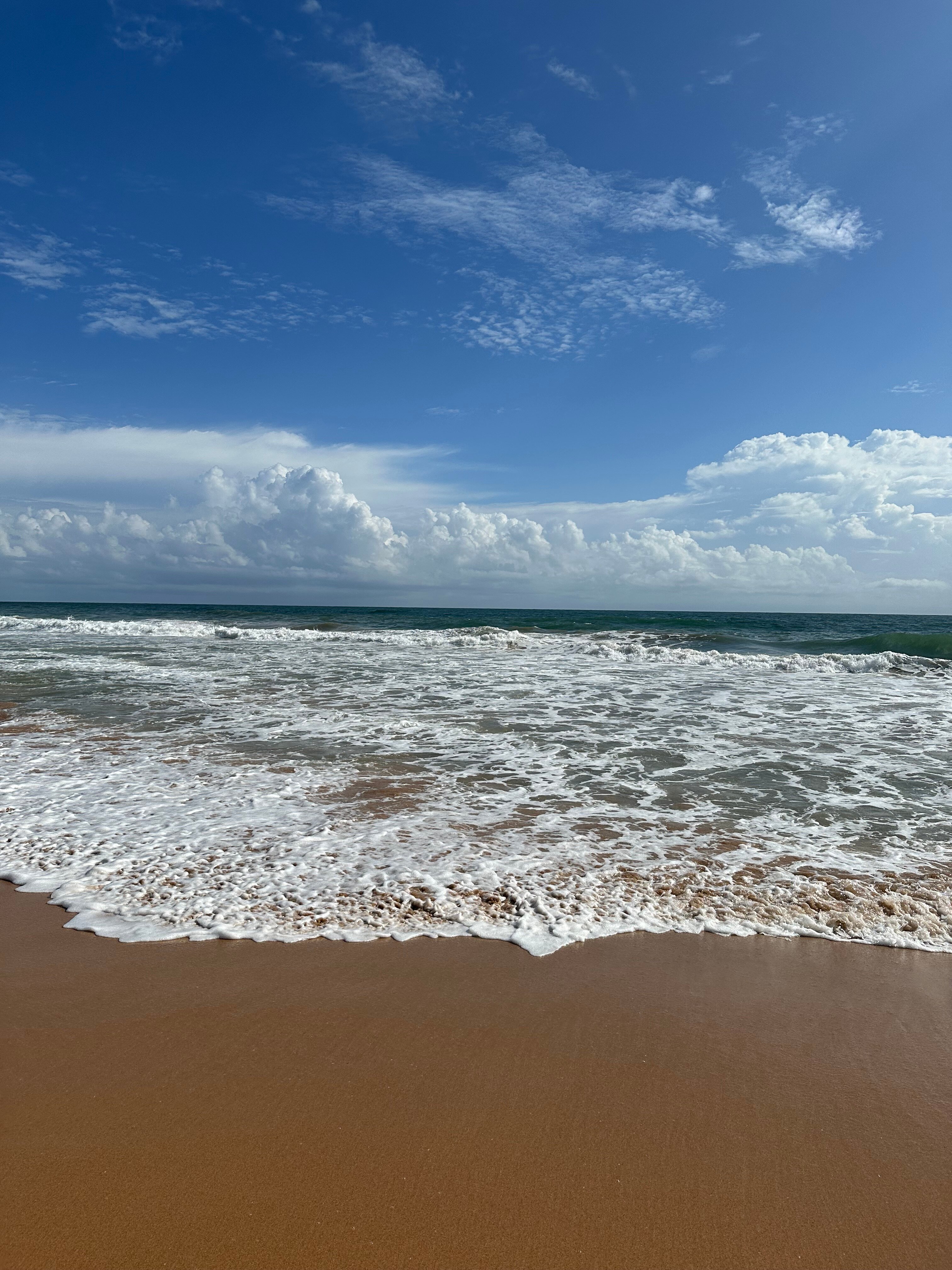 Sheraton Kosgoda Turtle Beach Resort-泳池