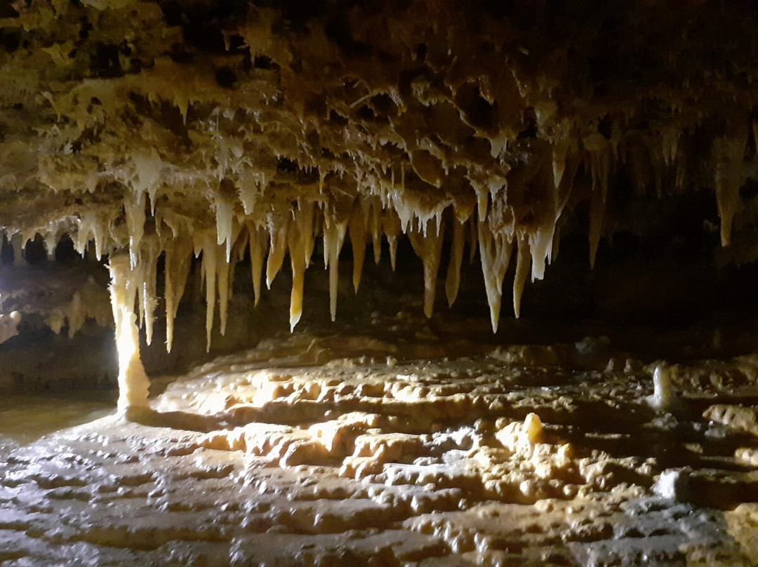 Grotte du Grand Roc景点图片