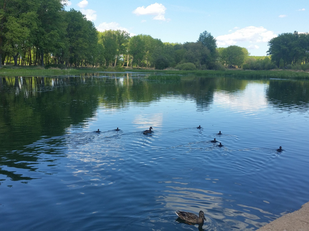 Parque Fuentes Blancas