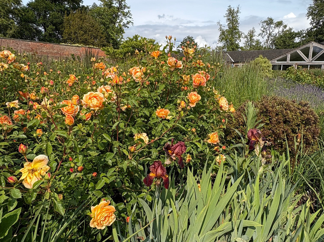 The Gardens, Wynyard Hall-Billingham必去景点