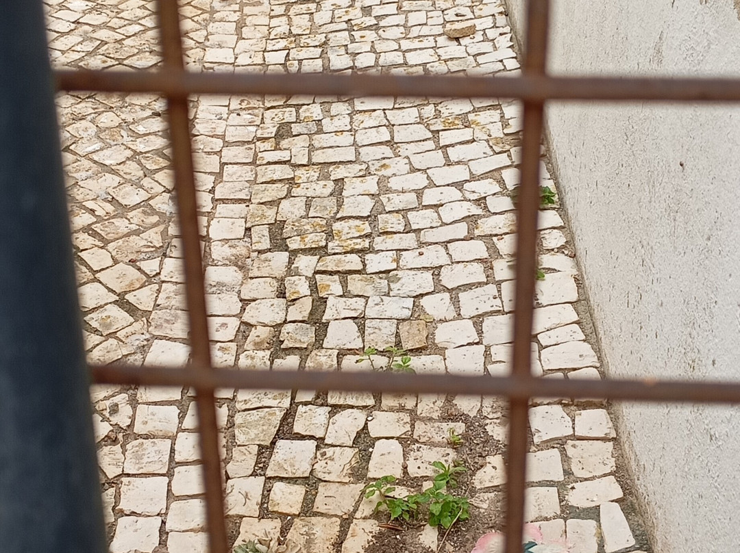 Mirobriga-Santiago do Cacem必去景点