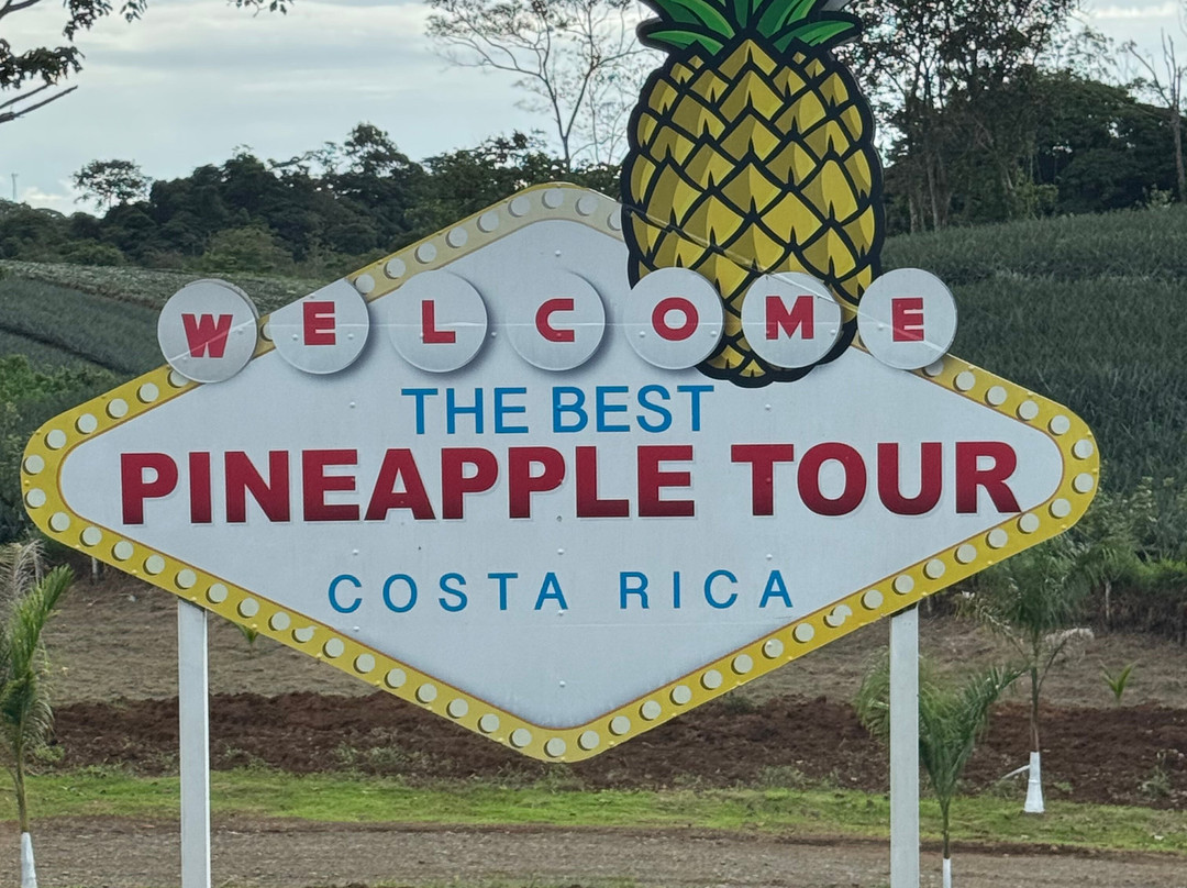 The Best Pineapple Tour Costa Rica景点图片