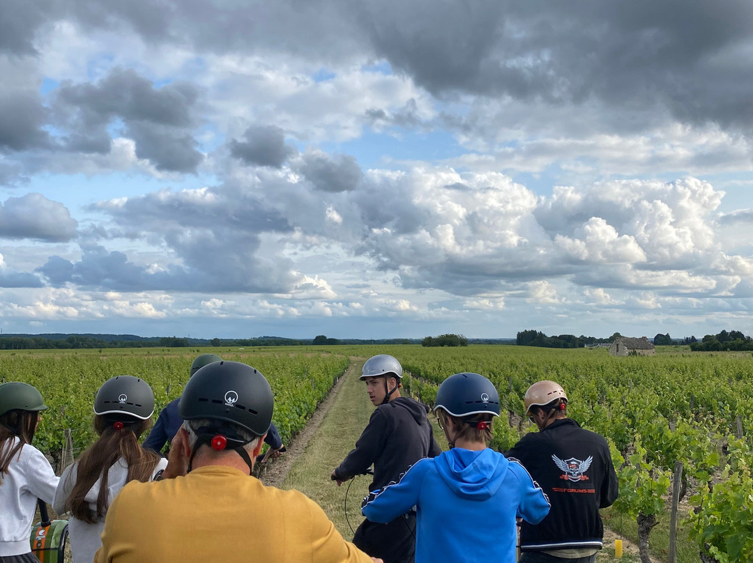 O Coeur des Vignes-Coteaux-sur-Loire必去景点