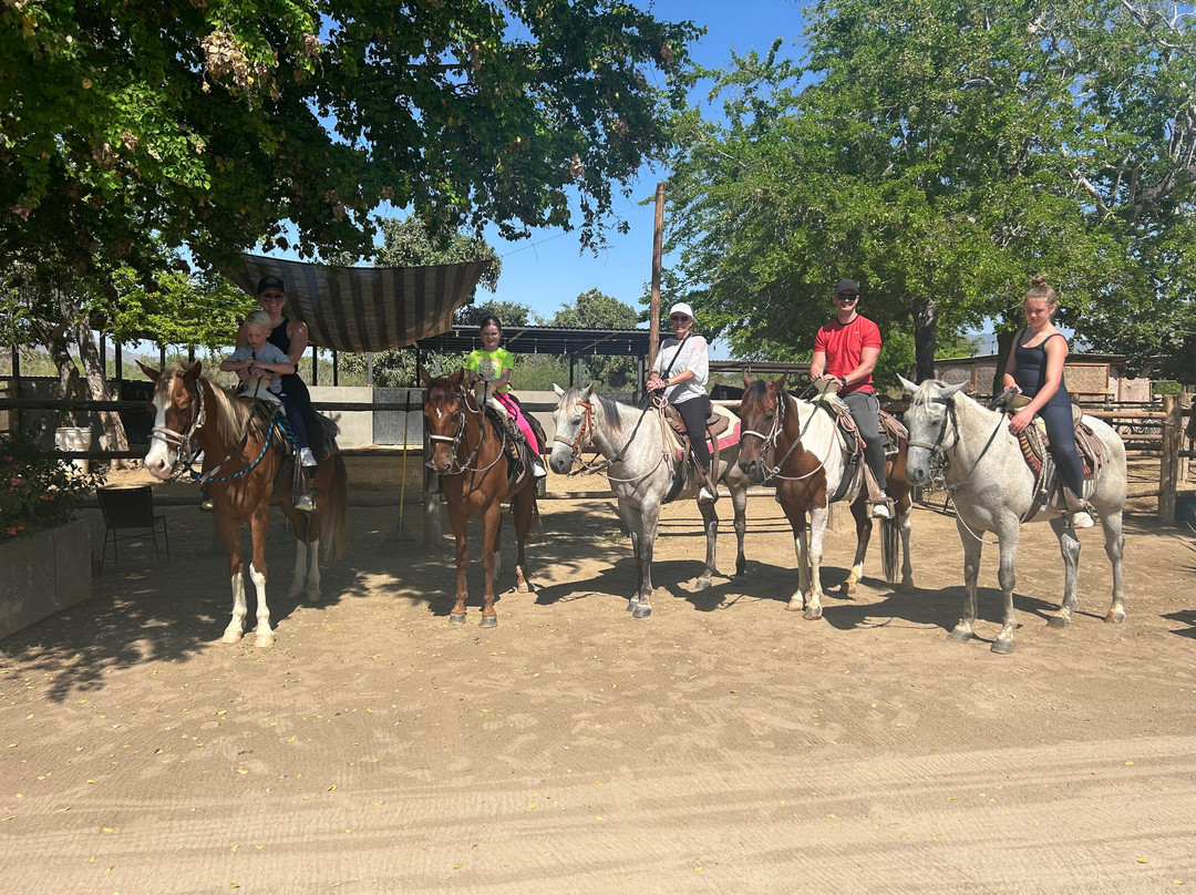 Rancho Animas-Animas Bajas必去景点