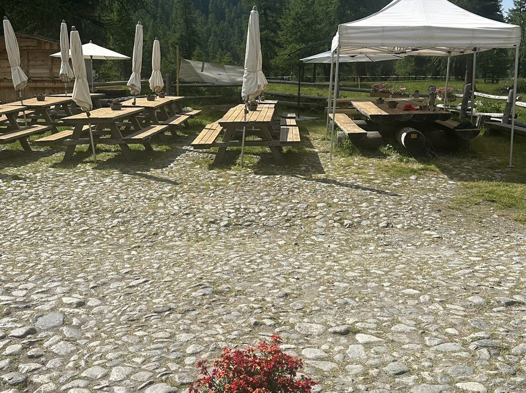 Alp-Schaukaserei Morteratsch-Pontresina必去景点