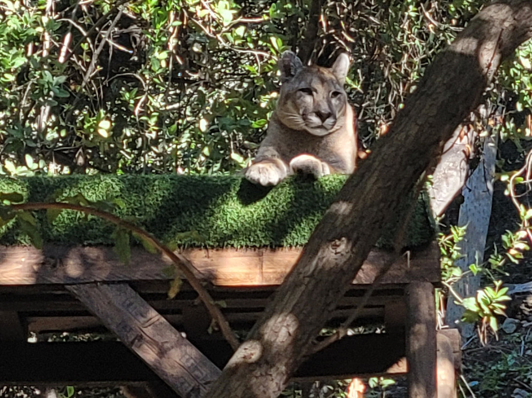 Refugio Animal Cascada-圣若泽迈坡必去景点