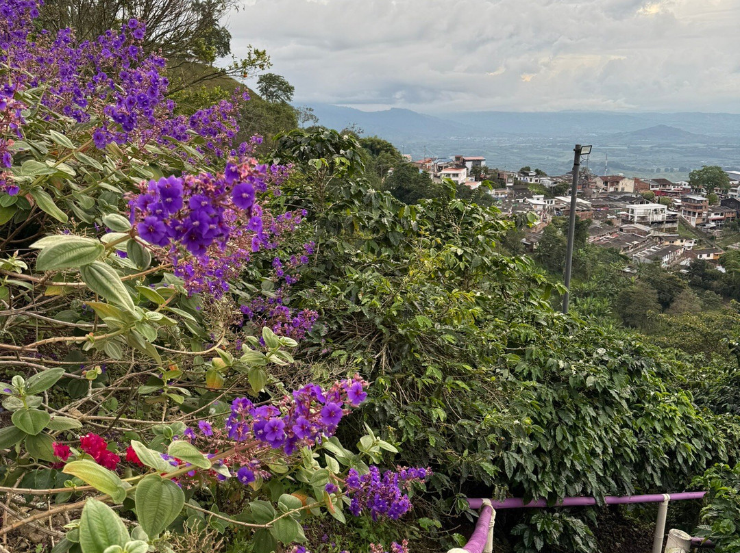 Cafe San Alberto-布埃纳维斯塔必去景点