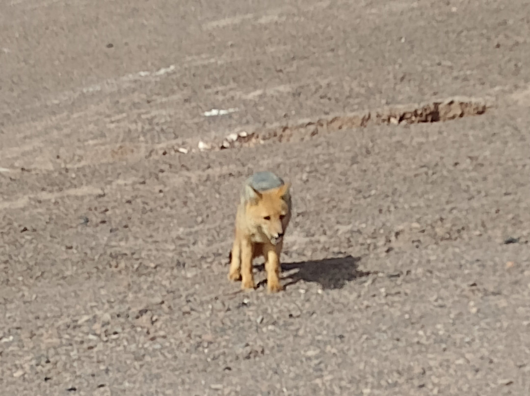 Hotel Don Remo主图