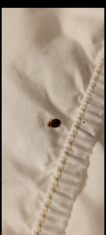 Wingate by Wyndham Pittsburgh/West Mifflin-酒店景观