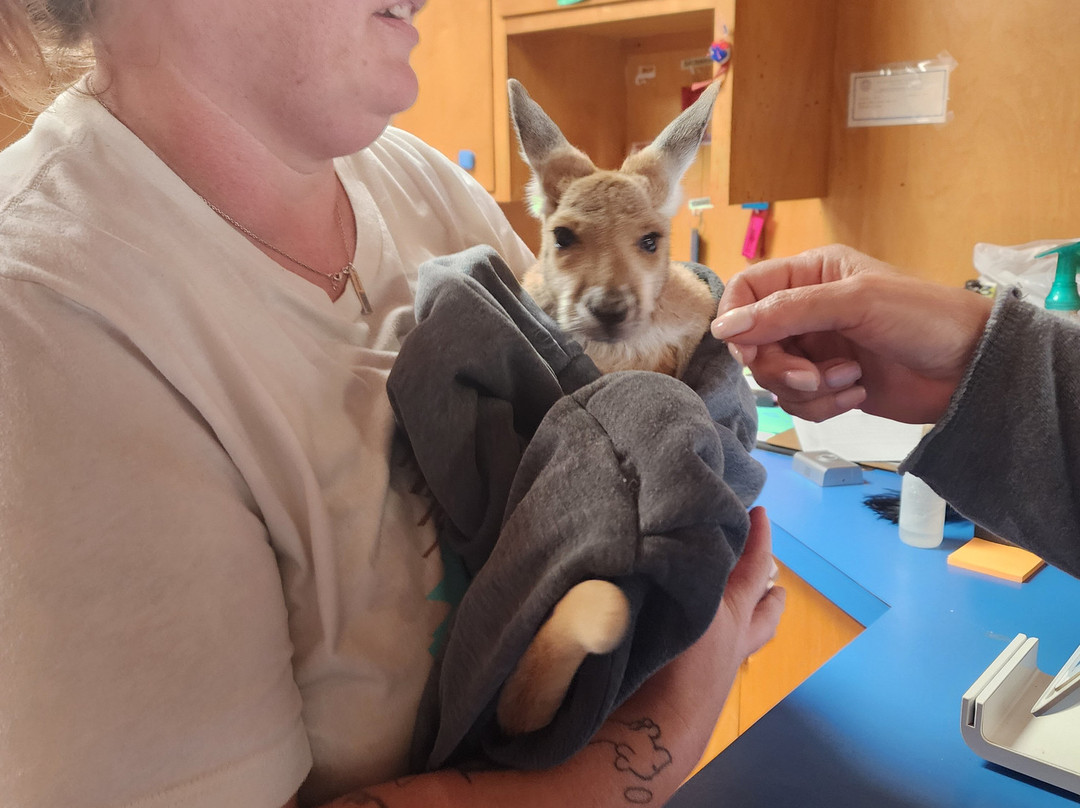 Hedrick's Exotic Animal Farm Bed and Breakfast主图