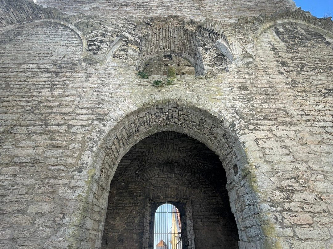 St. Karin Cathedral Ruins-维斯比必去景点