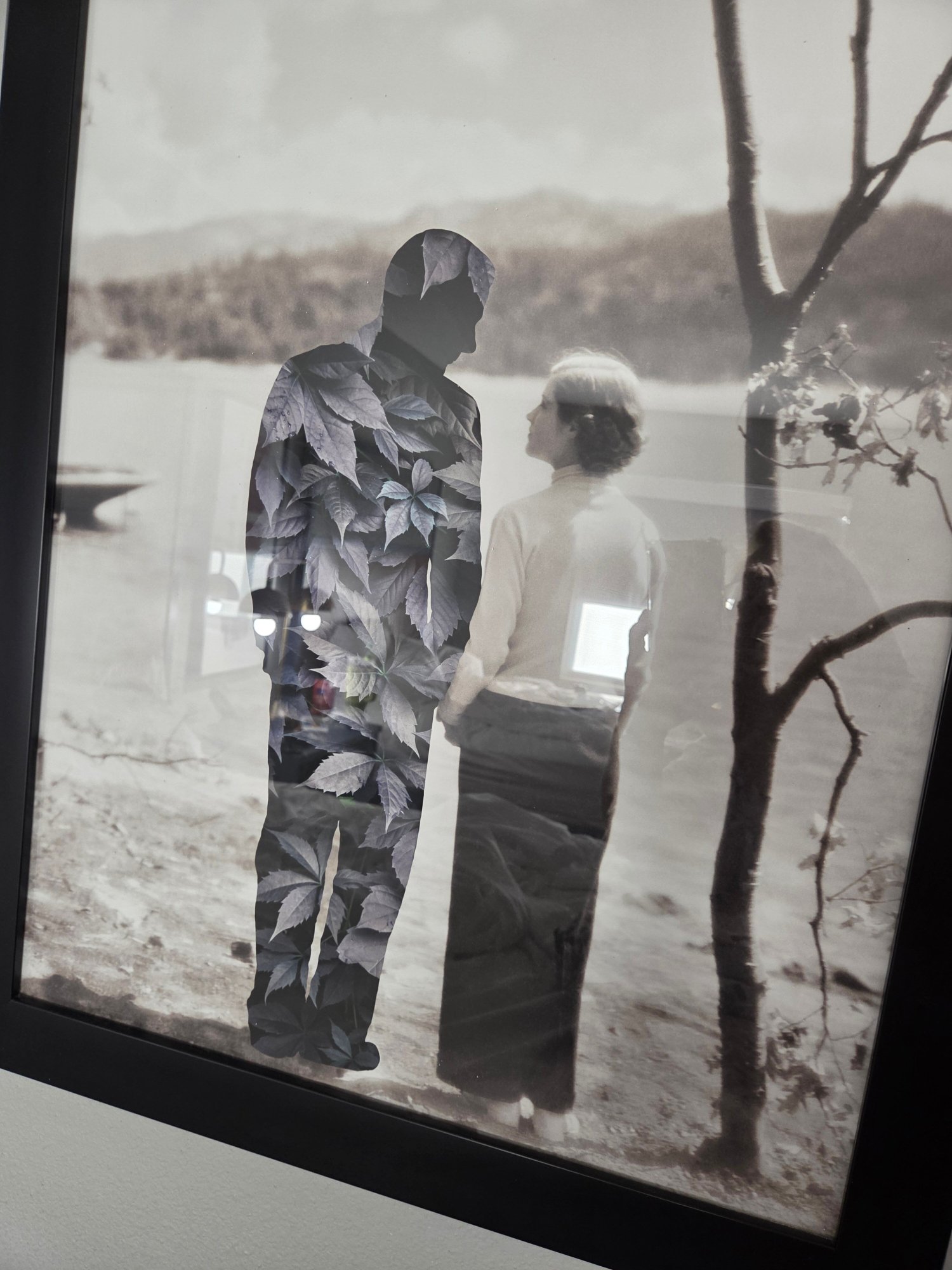 Americinn By Wyndham San Angelo-官方