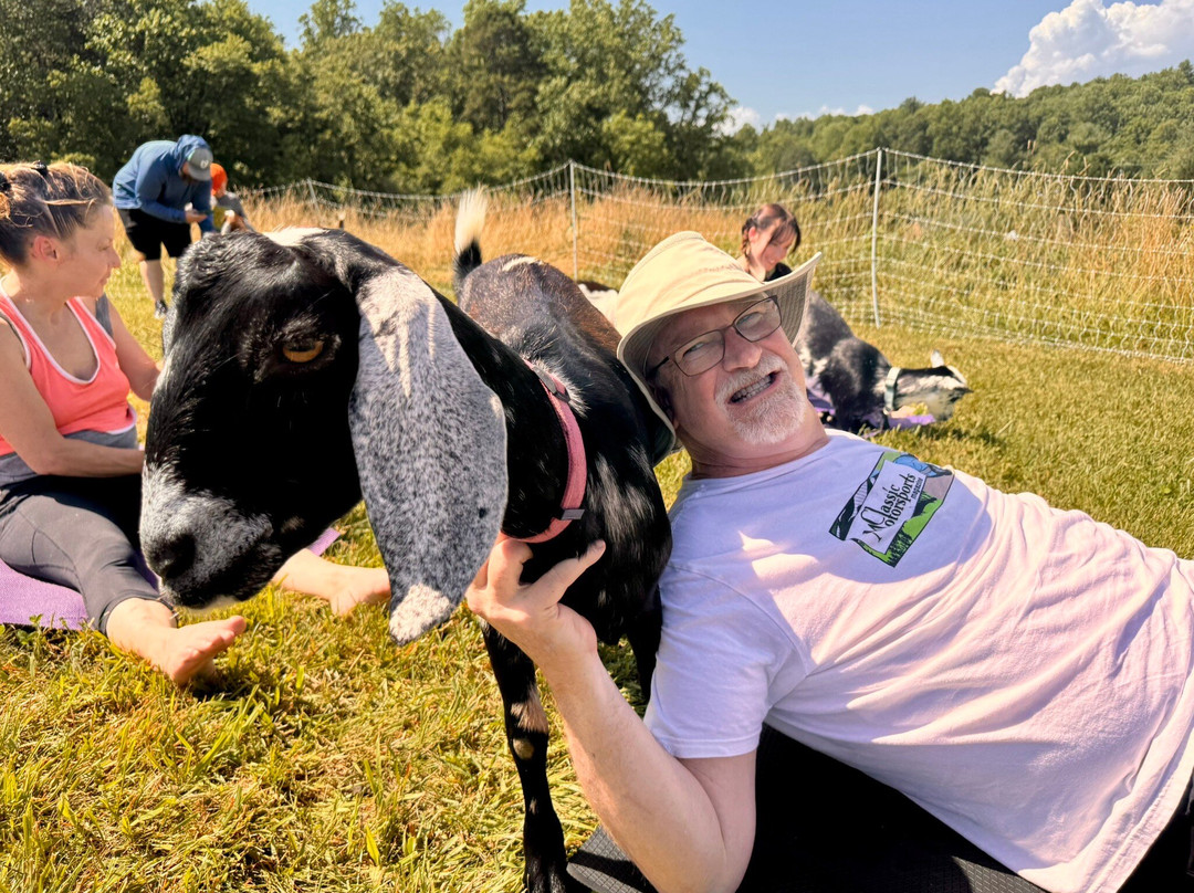 Asheville Wellness Tours-阿什维尔必去景点