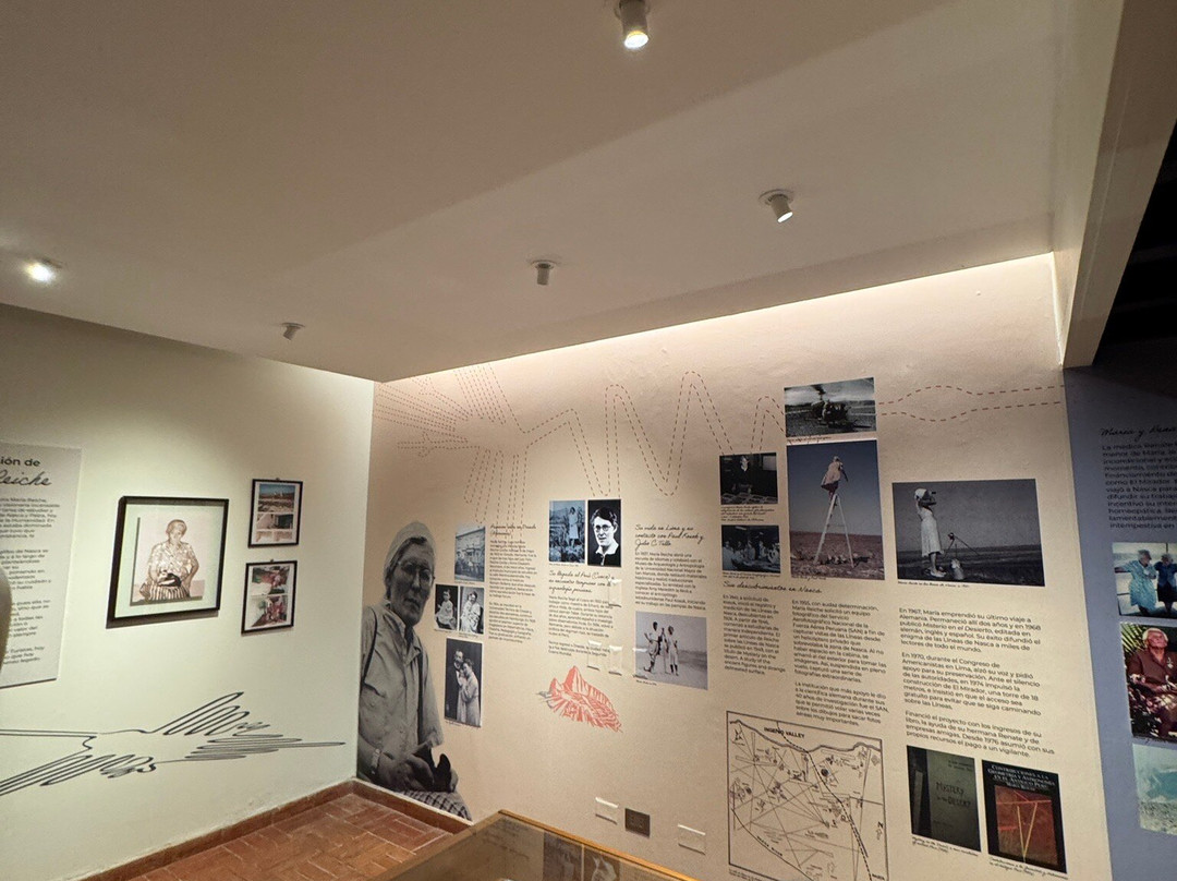 DM Hoteles Nasca主图