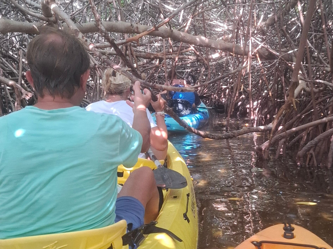 Mangrove Center-Kralendijk必去景点