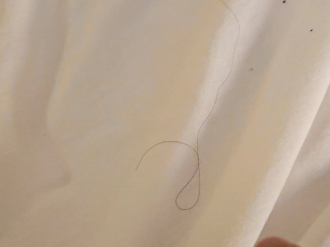 Drury Inn & Suites Fort Myers Airport Fgcu主图