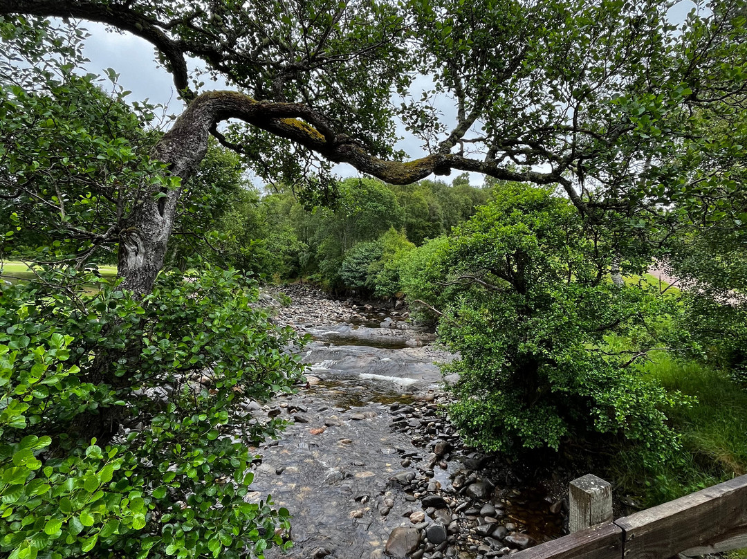 Kingussie Golf Club-Kingussie必去景点