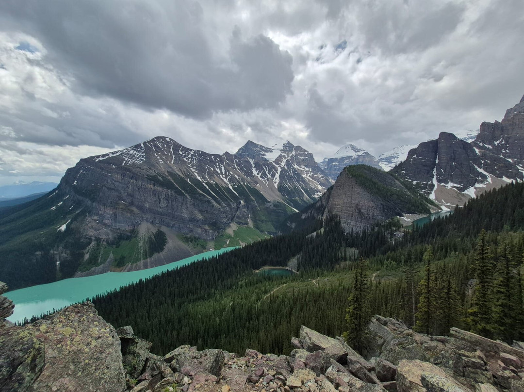 Timberwolf Tours-埃德蒙顿必去景点