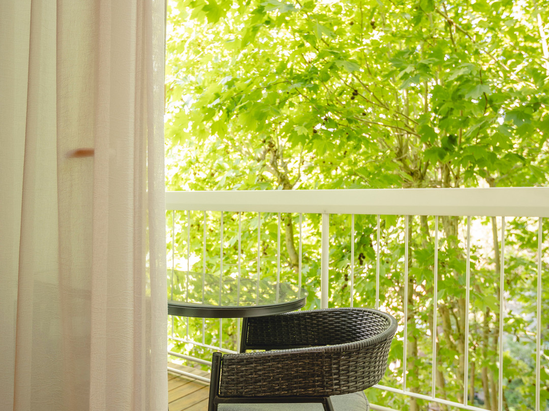Hotel Saraceno 4 Stelle Milano Marittima主图