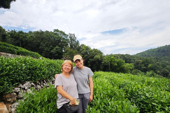 Hippo Tour Shanghai-上海市必去景点