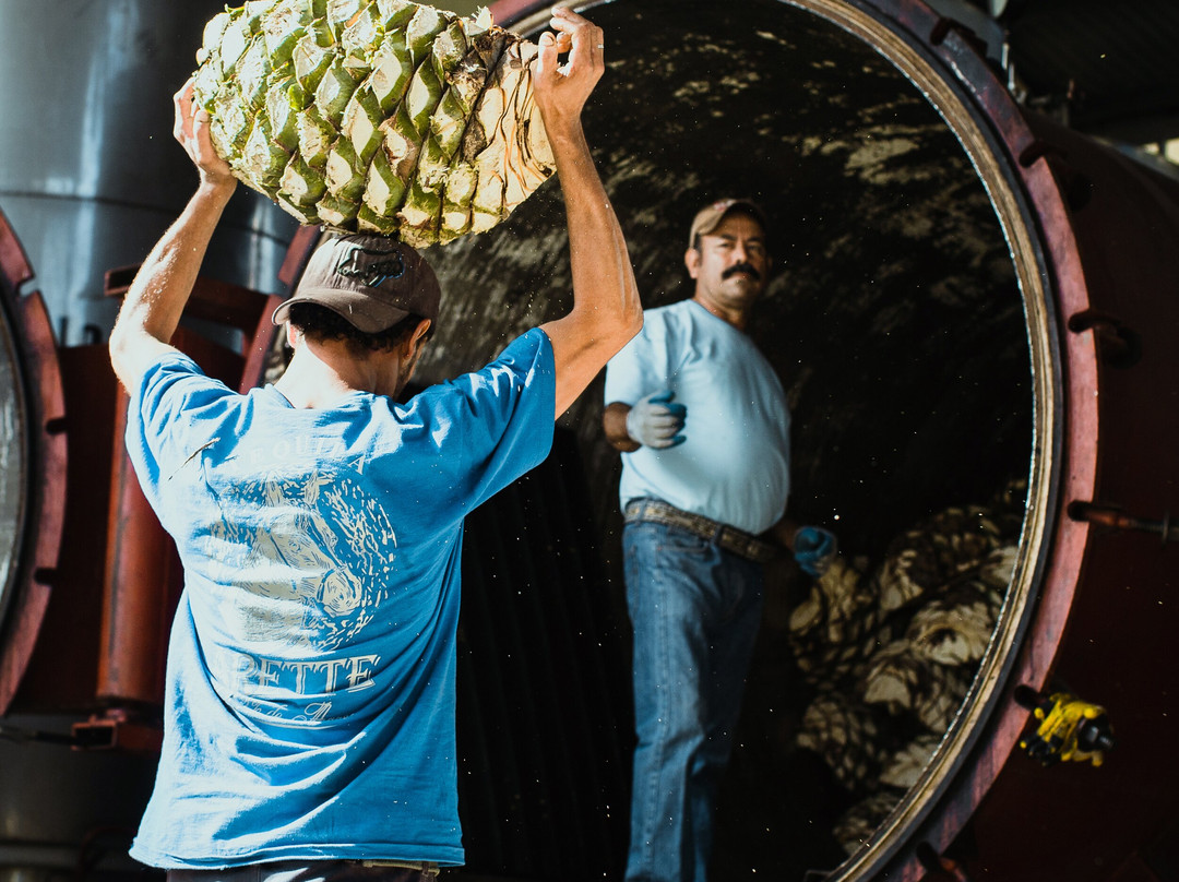 Tequila Arette-特基拉必去景点