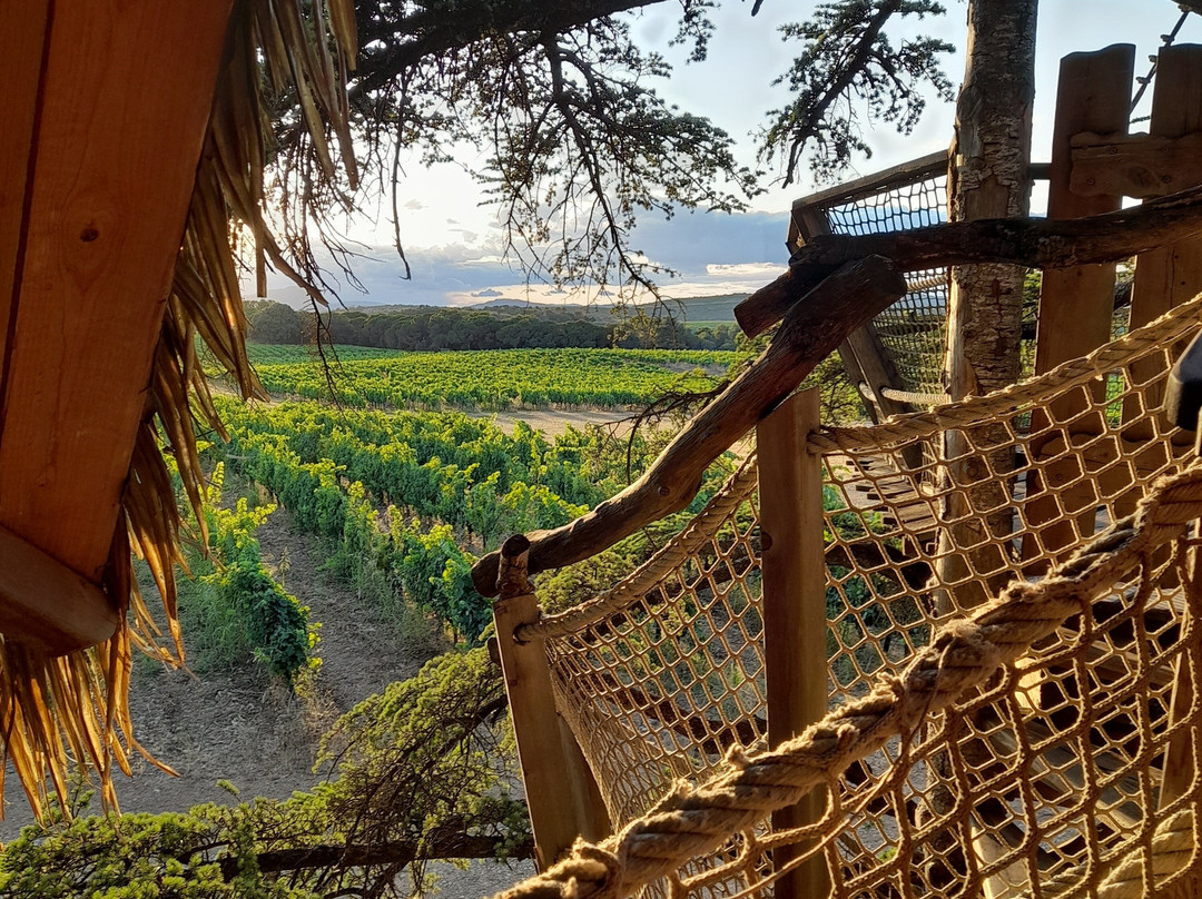 Domaine Saint Jean de l'Arbousier-Sussargues必去景点