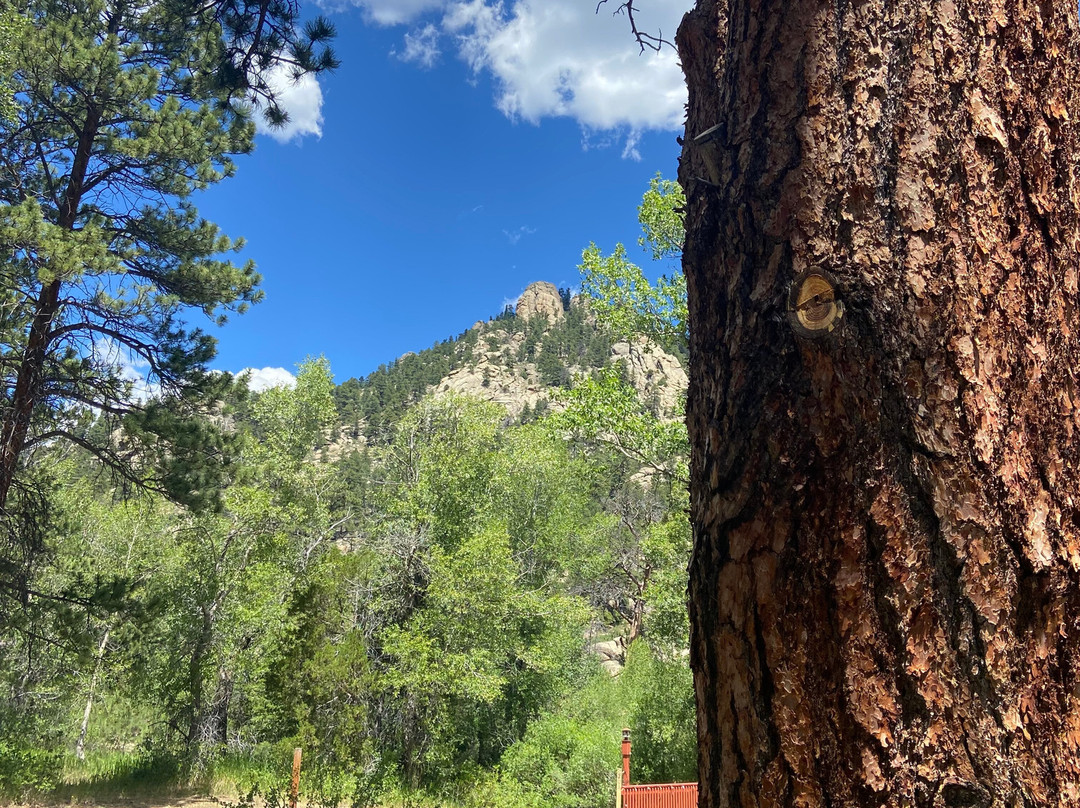 Streamside on Fall River主图