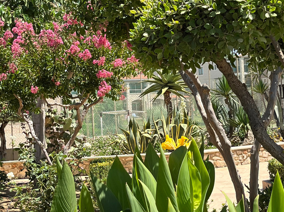 Vagia Mare Hotel主图