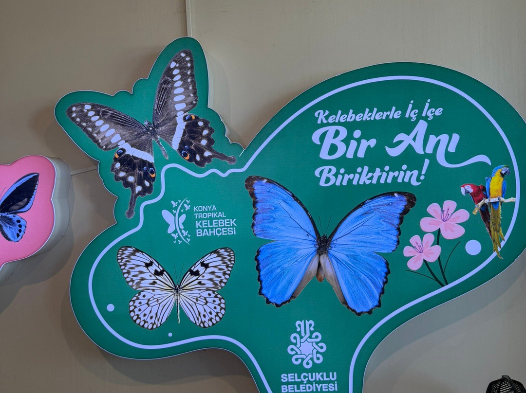 Konya Tropikal Kelebek Bahçesi-科尼亚必去景点