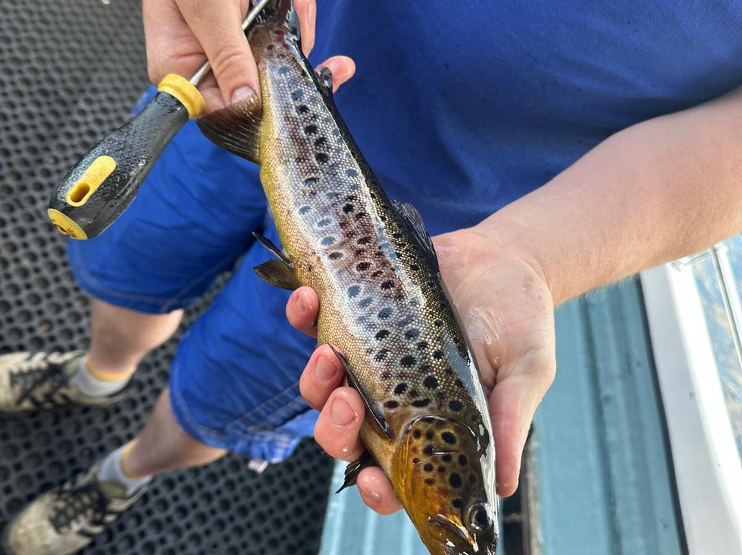 Fish Loch Ness-Dochgarroch必去景点