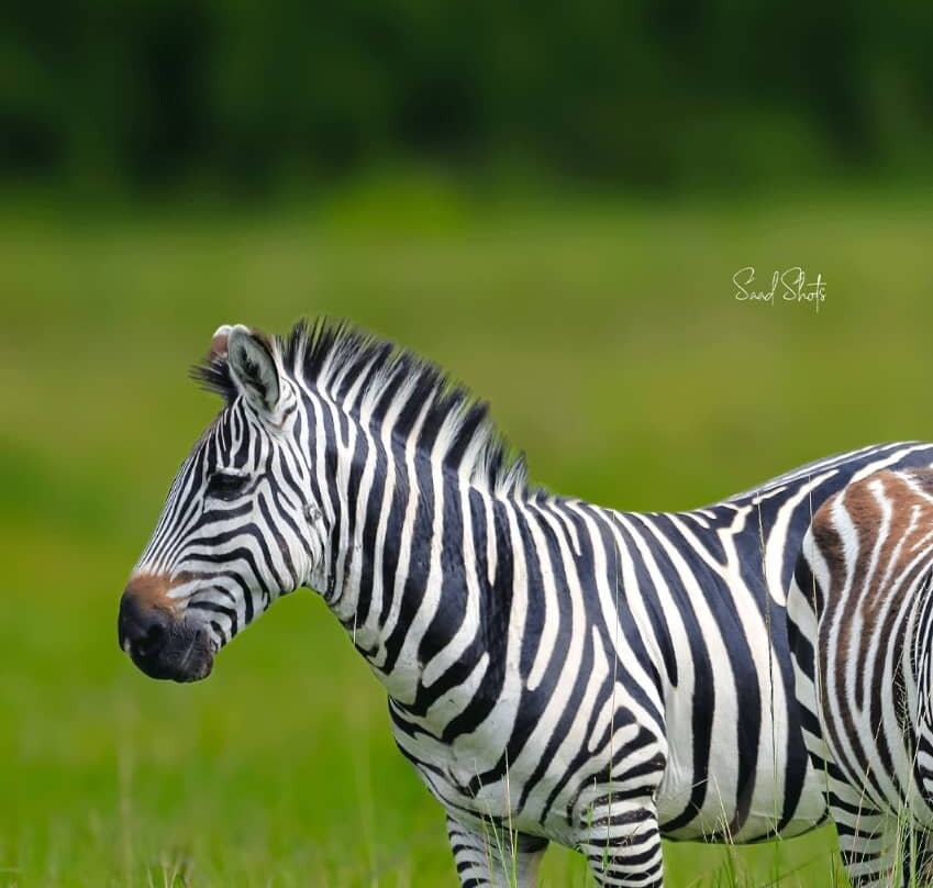 Benjamin Safaris-Kilifi必去景点