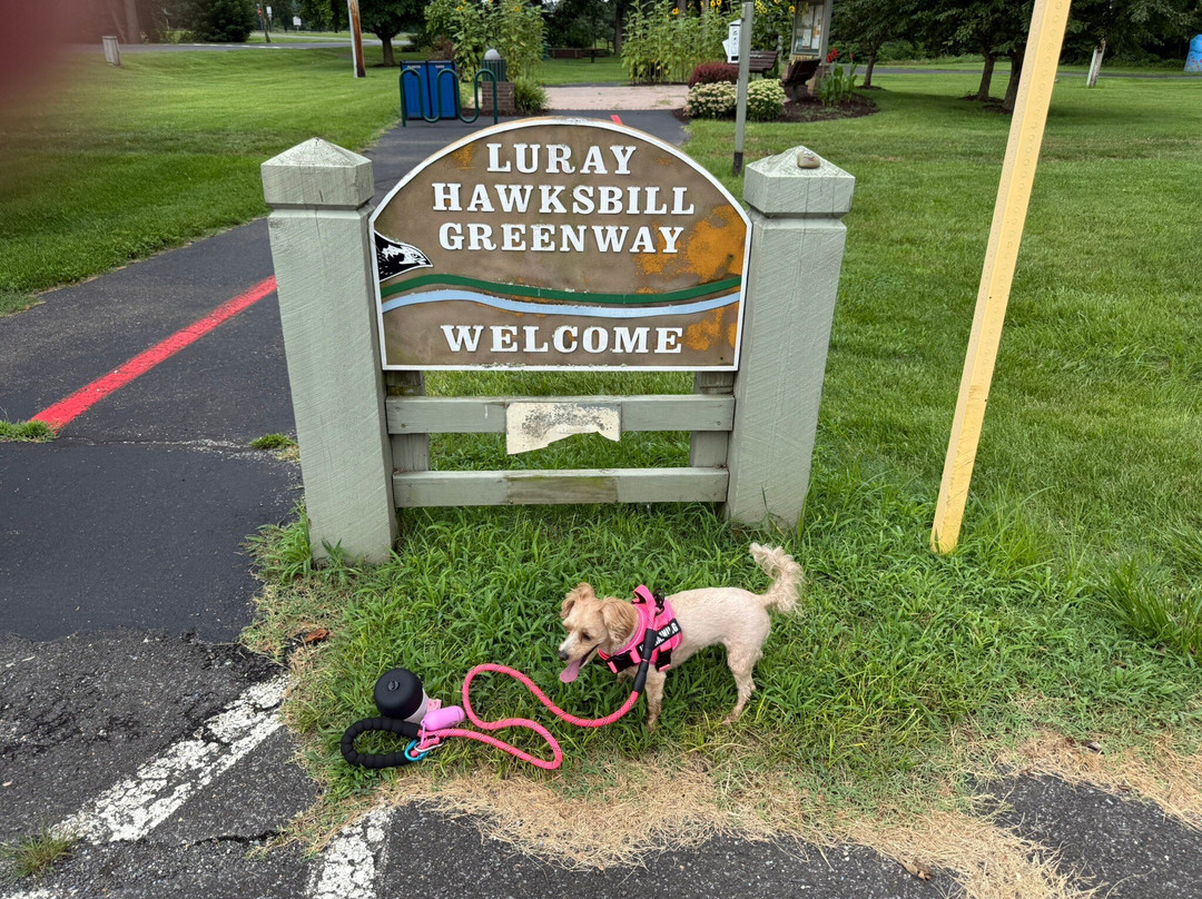 Hawksbill Greenway-卢雷必去景点