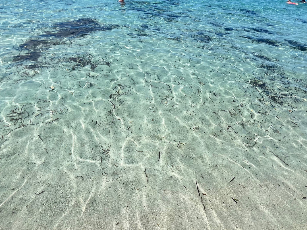 Plage de Bodri-Corbara必去景点