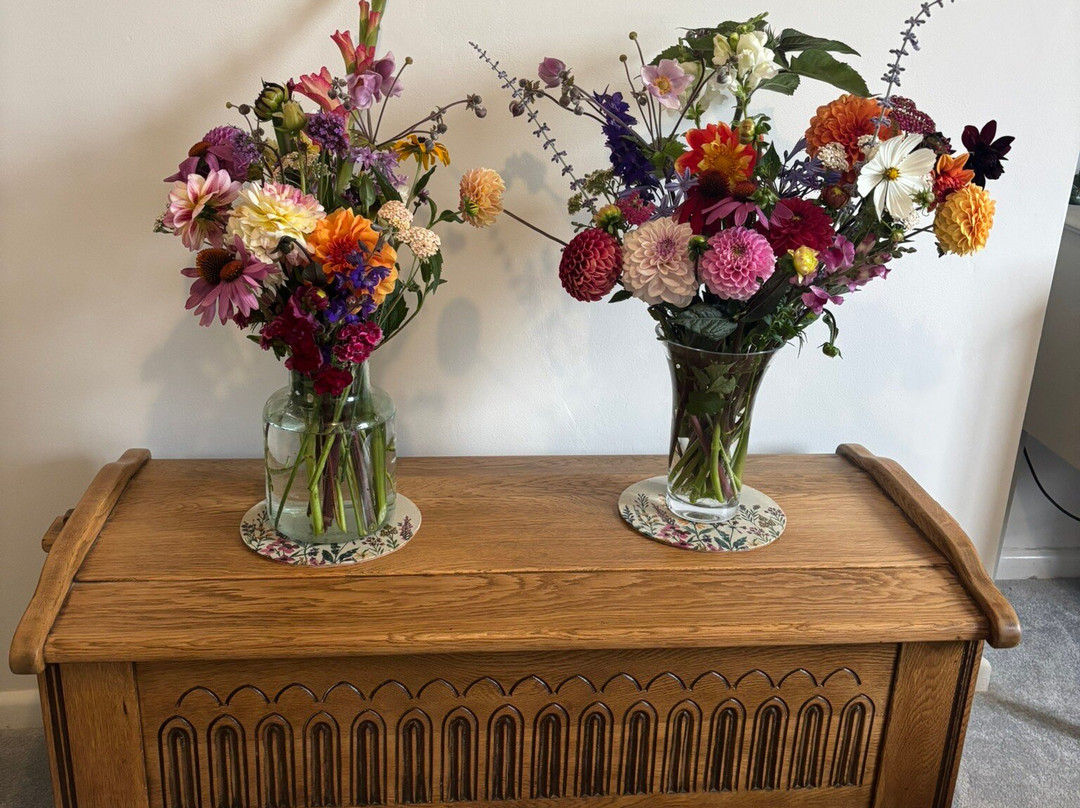 Abbey Farm Flowers-Abbotsbury必去景点