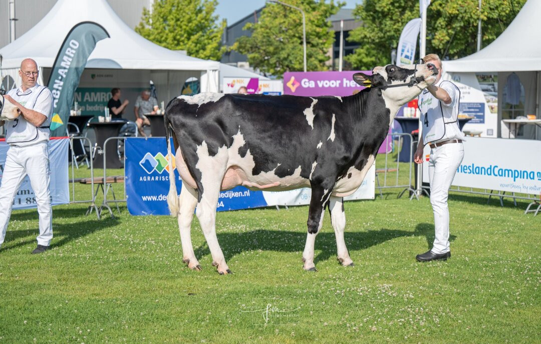 Landbouwshow Opmeer-Hoogwoud必去景点
