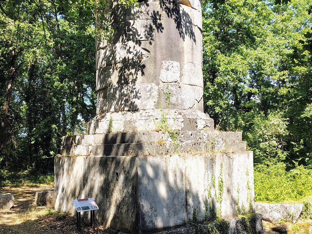 Carsulae - Parco Archeologico-特尔尼必去景点