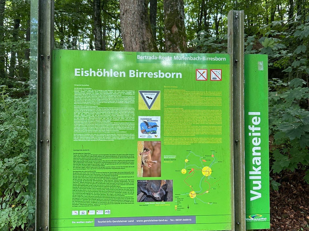 Birresborner Eishoehlen-Birresborn必去景点