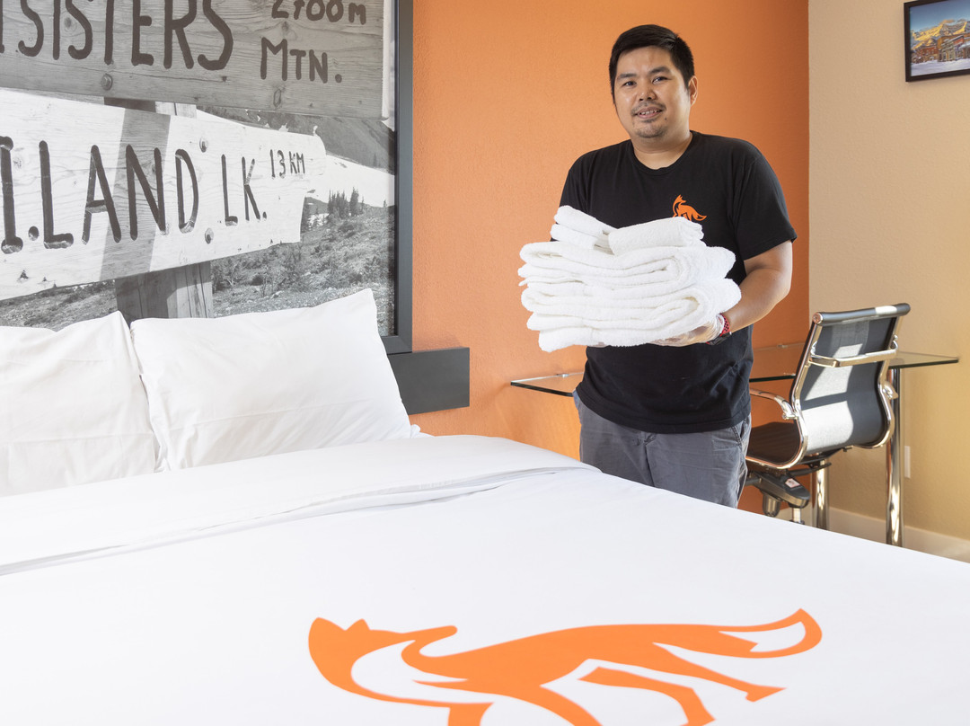 Fernie Fox Hotel主图