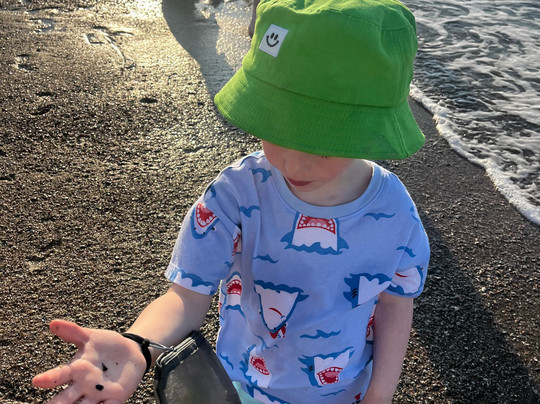 Tybee Shark Teeth Tours-泰碧岛必去景点