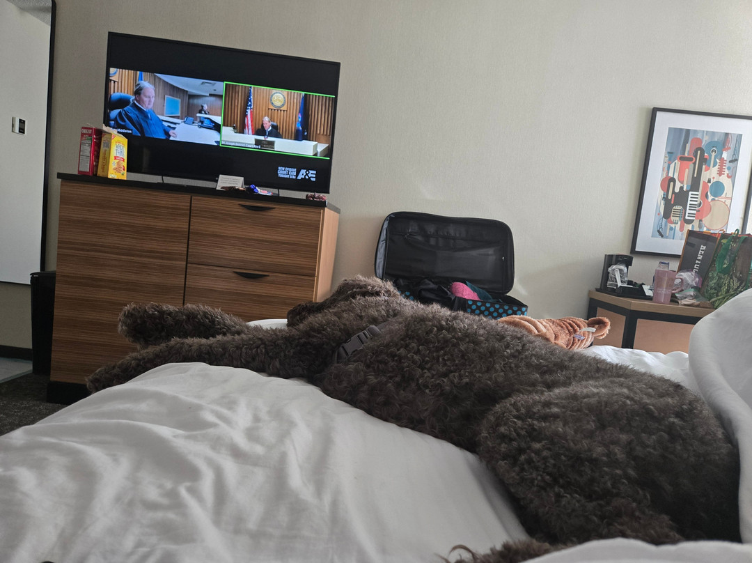 Drury Inn & Suites St. Louis Southwest主图