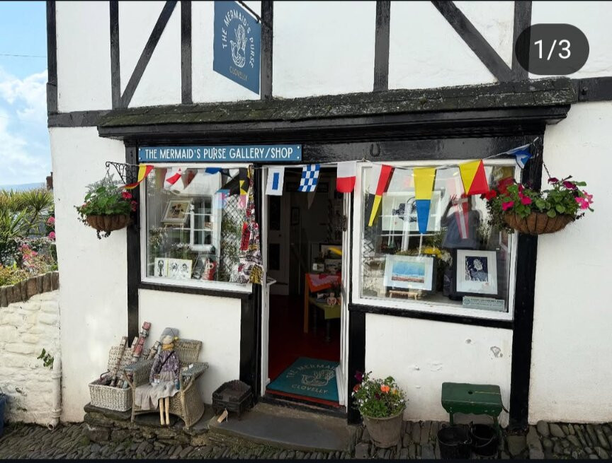 The Mermaid's Purse, Clovelly