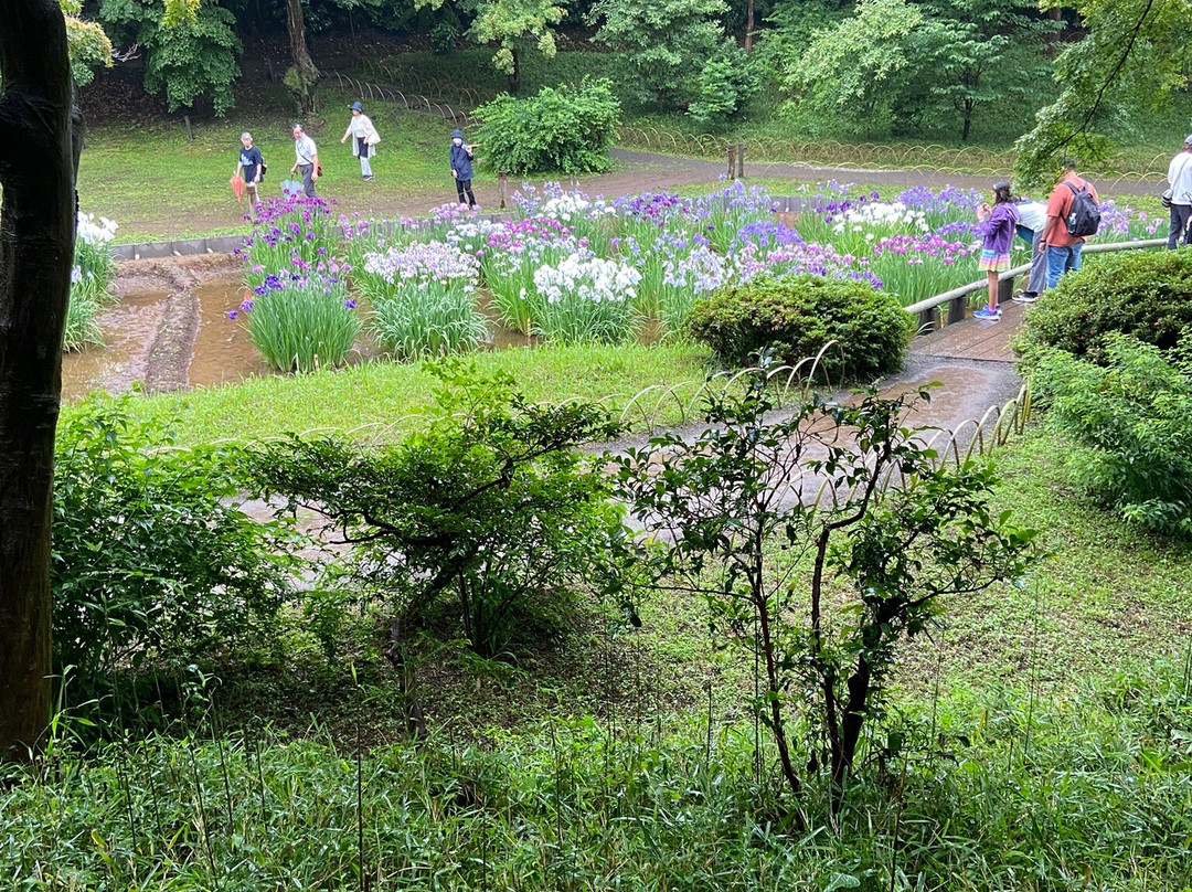 Meiji Shrine Imperial Garden-涩谷区必去景点