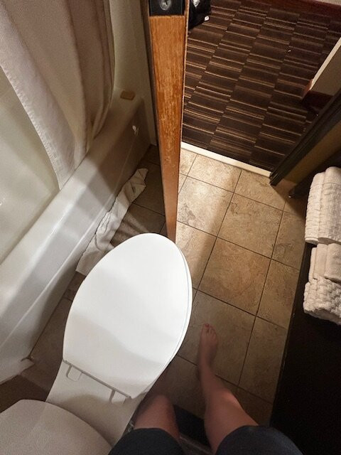 华美达丽米特德酒店主图