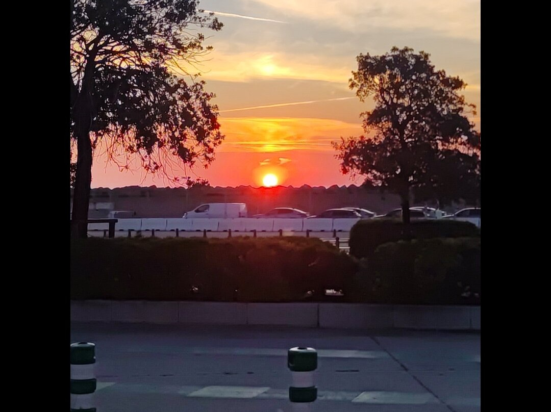 Hotel Casa Mea主图