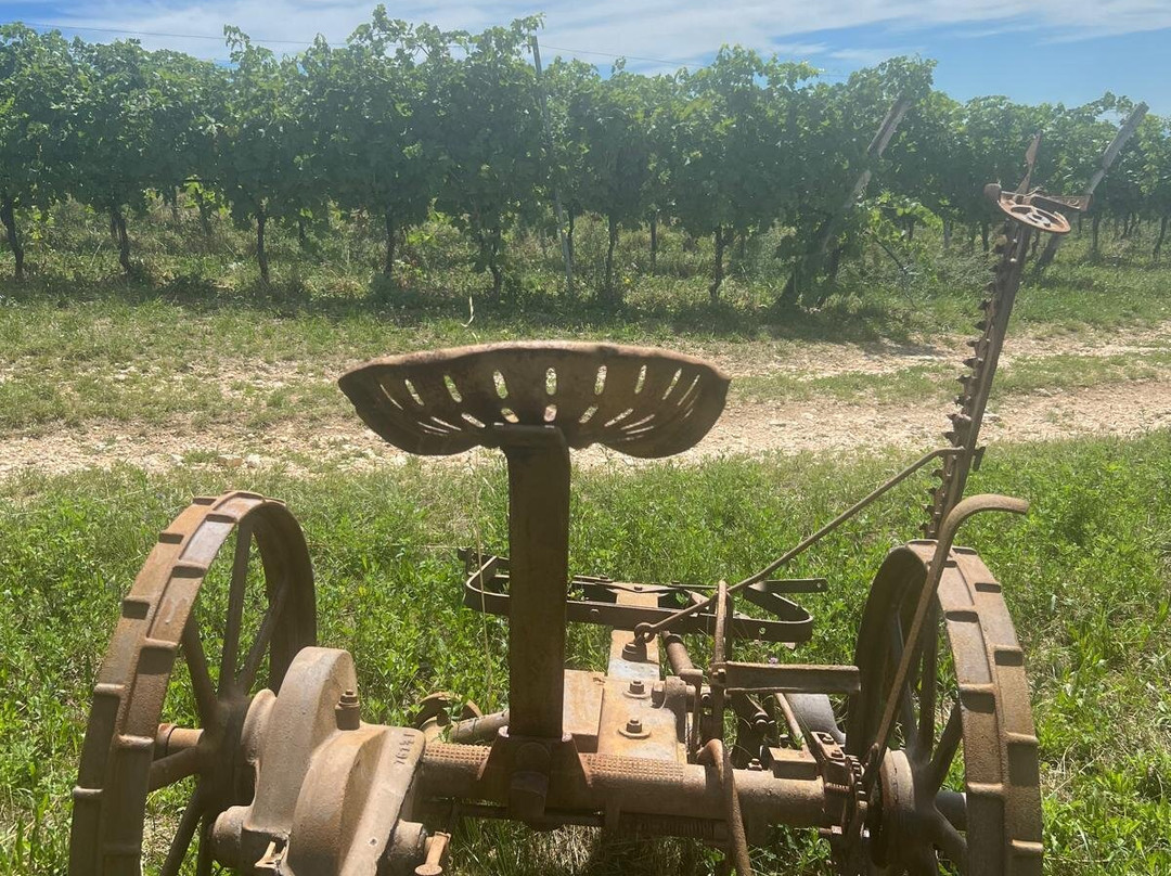 La Collina dei Ciliegi-Grezzana必去景点