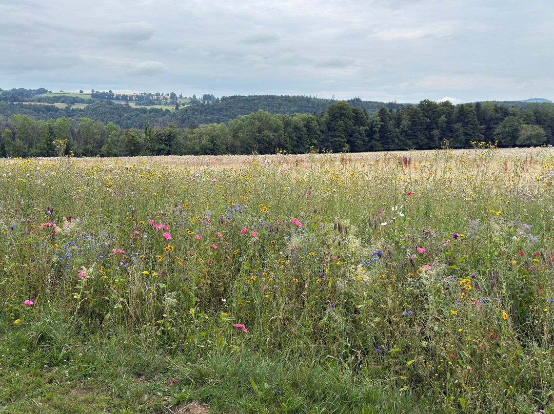 小科尔伯格餐厅酒店主图