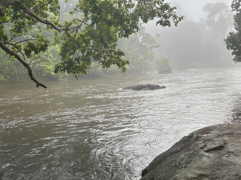 Knini Paati - Jungle & River Eco Resort主图