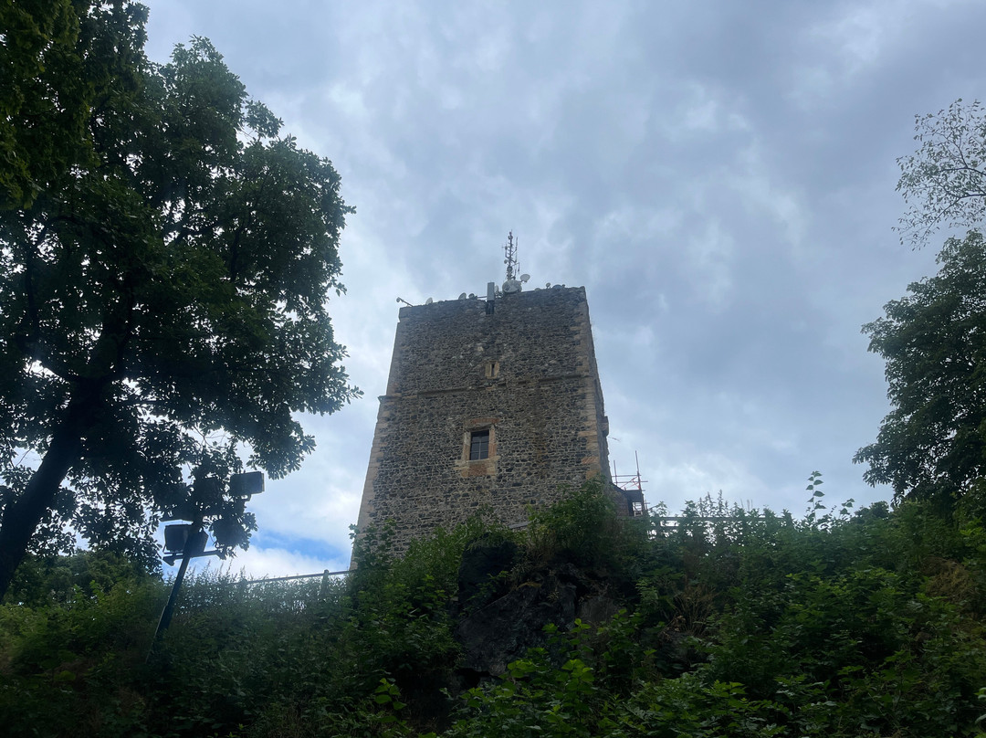 Castle ruins in Radyne-Stary Plzenec必去景点