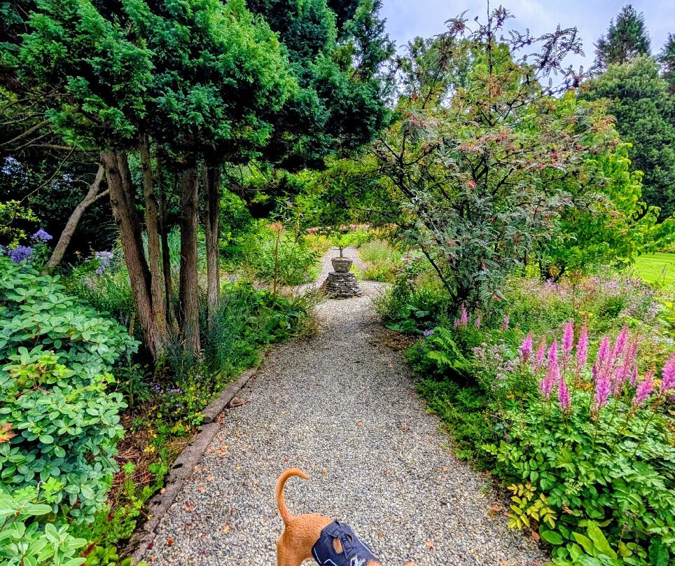 Cae Hir Gardens-Cribyn必去景点