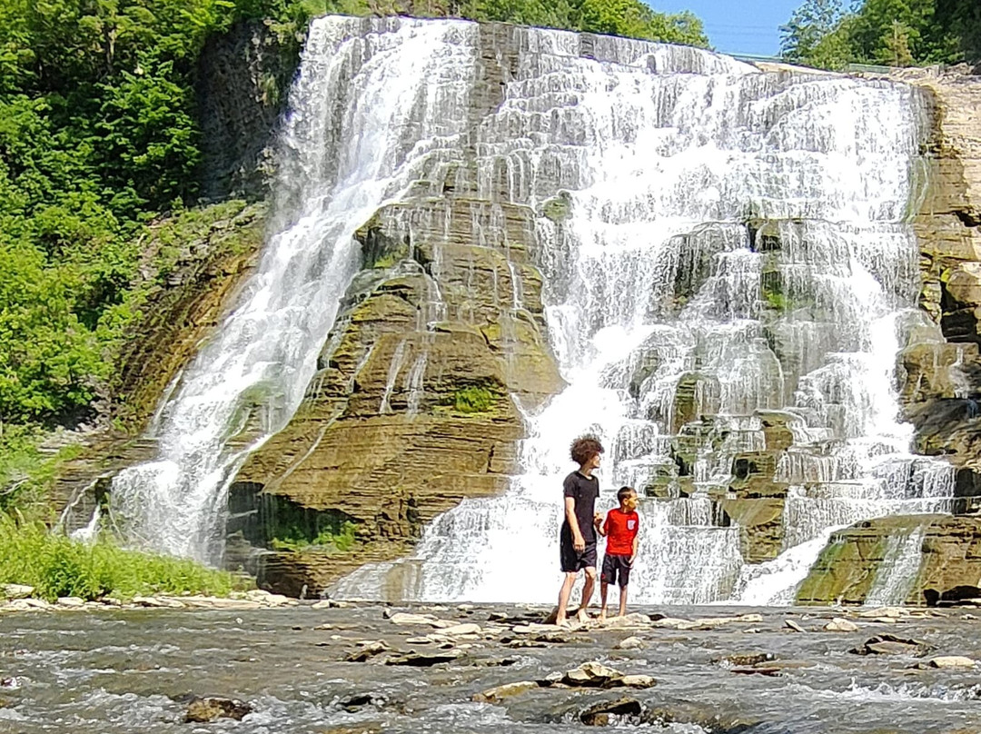 Toronto Fun Tours (Sadaf Holidays Inc.)-康山必去景点